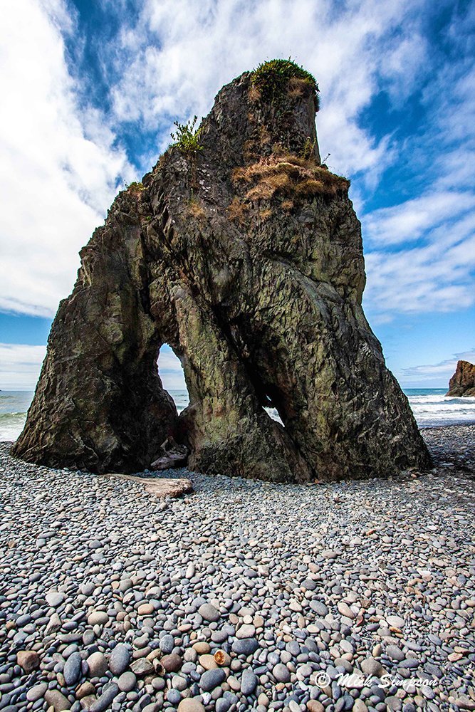 20100809 IMG_8779 Ruby Beach WA C V1.jpg