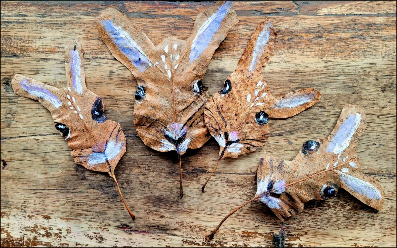 Annie's bunnies x825.jpg