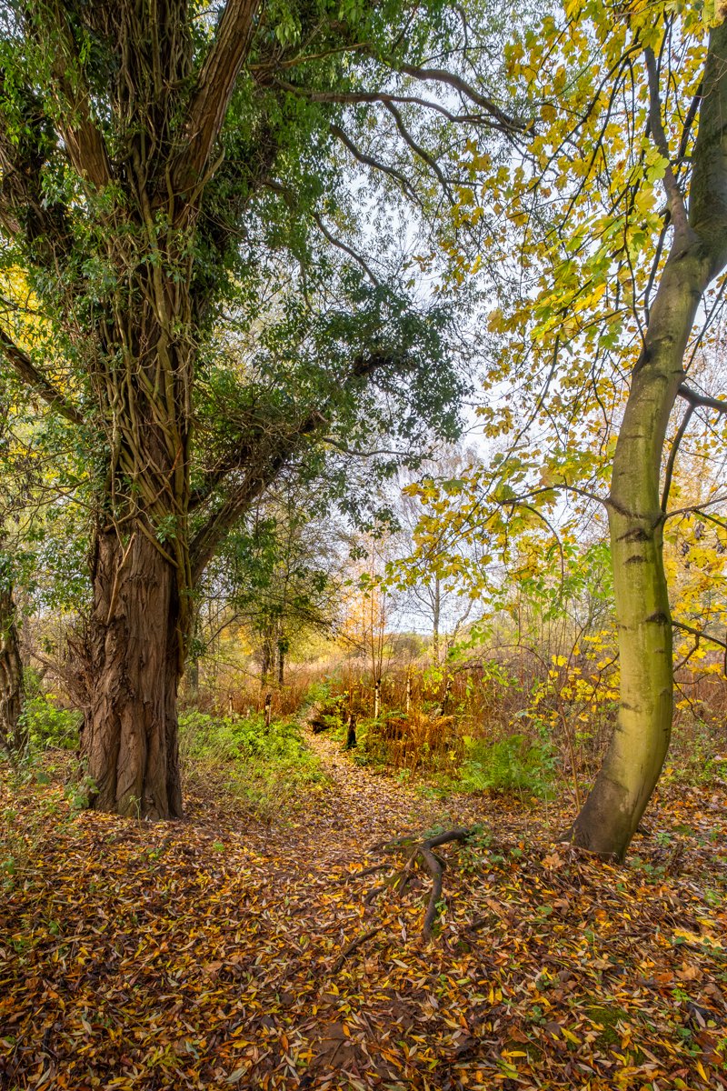 AutumnTime_F0780-834-1.JPG