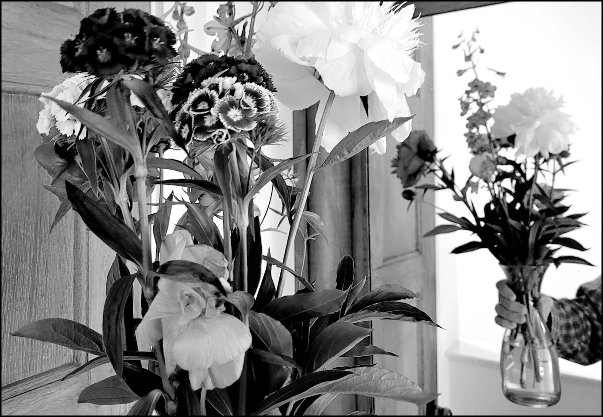 bwflowersx825.jpg