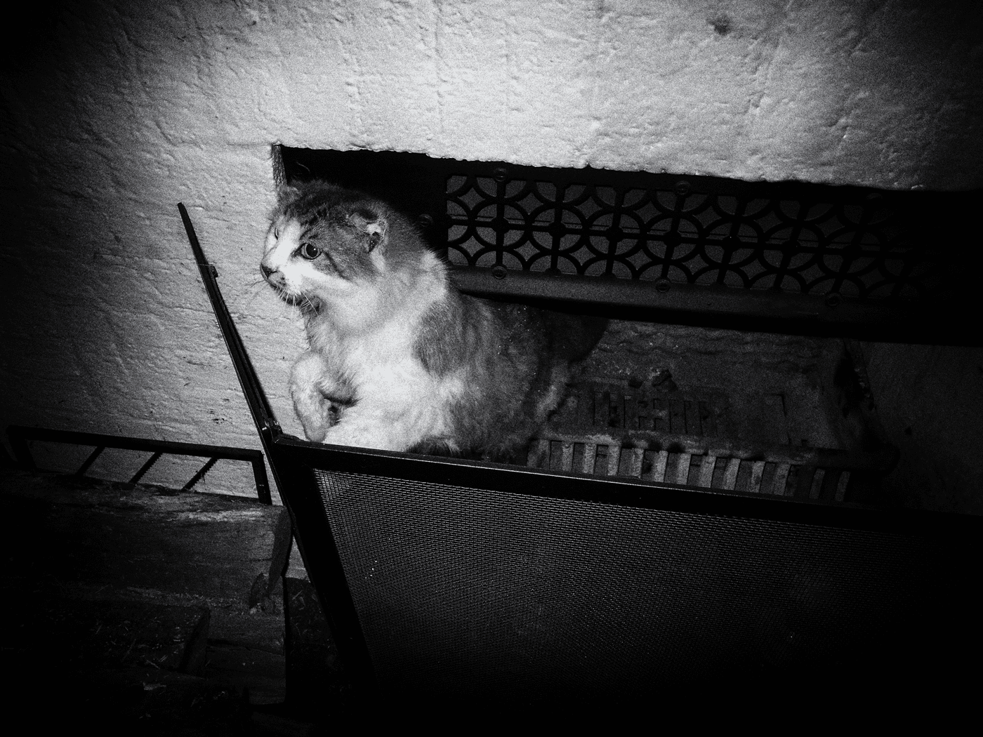 cat-burglar.png