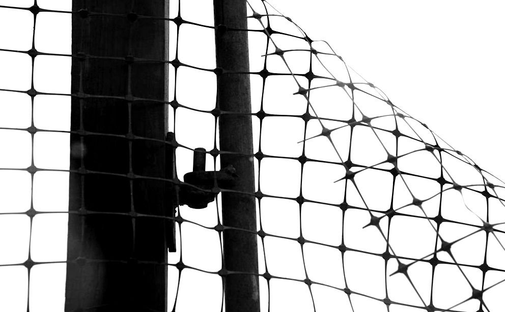 DSC_2854x1000mmff.jpg