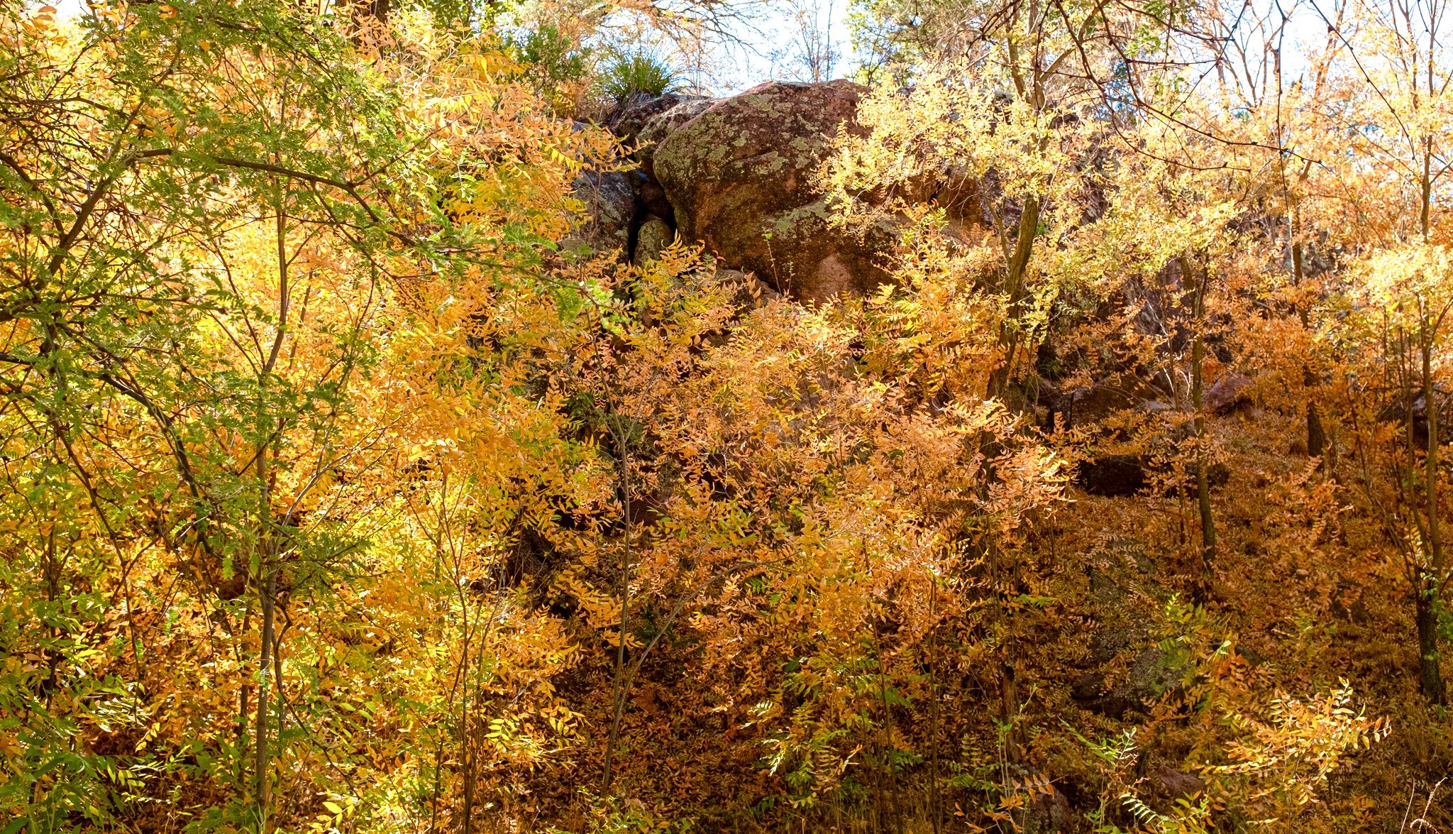 DSCF5216.jpg