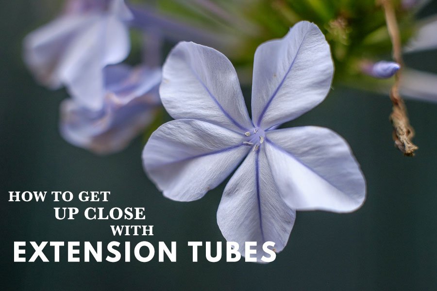 extension-tubes-feature-900px.jpg