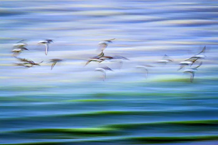 Fine-Art-Photography-Tutorial-1-1.png