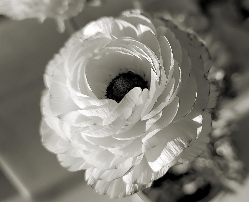 mm4-7-2024x825.jpg