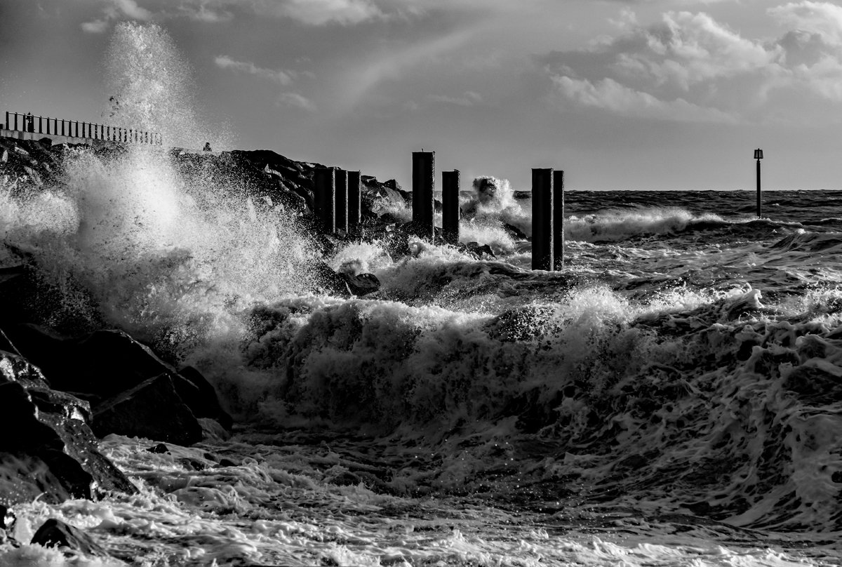 The sea-web.jpg