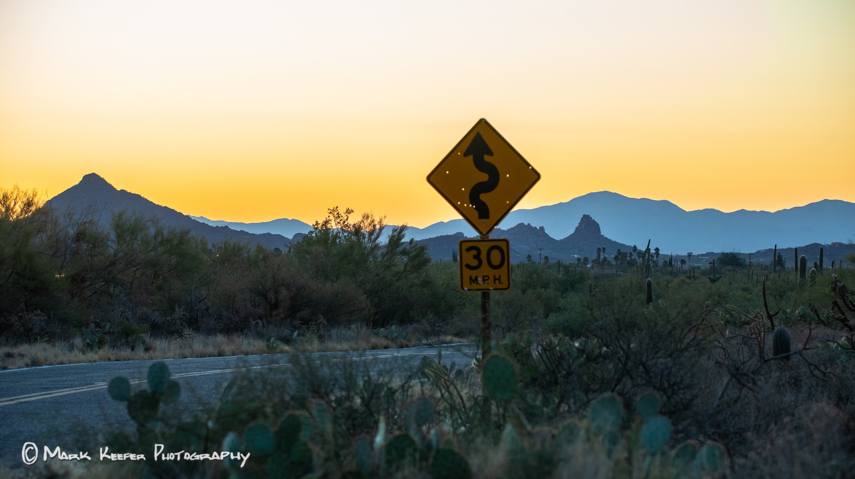 Tucson Desert First Light-48089.jpg