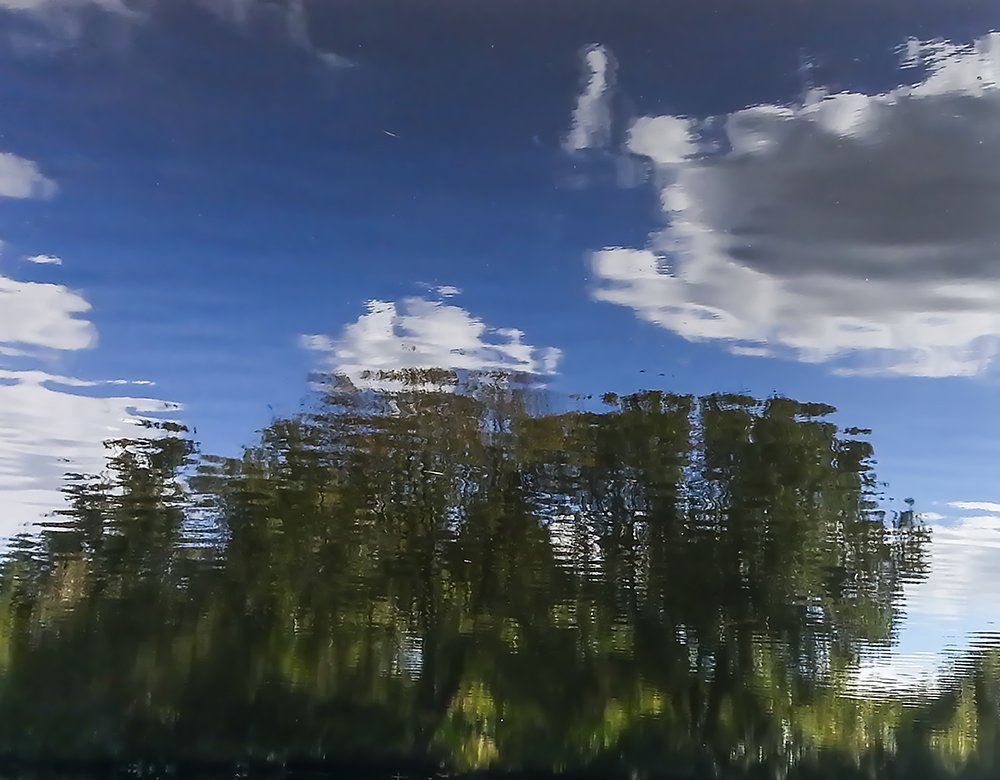 20171001_143321 Reflections at Turkey Swamp Park MWS.jpg