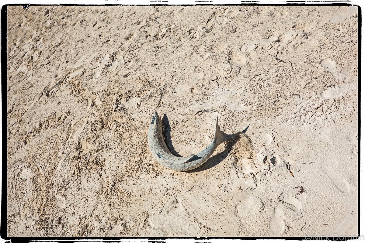 Beach--6.jpg