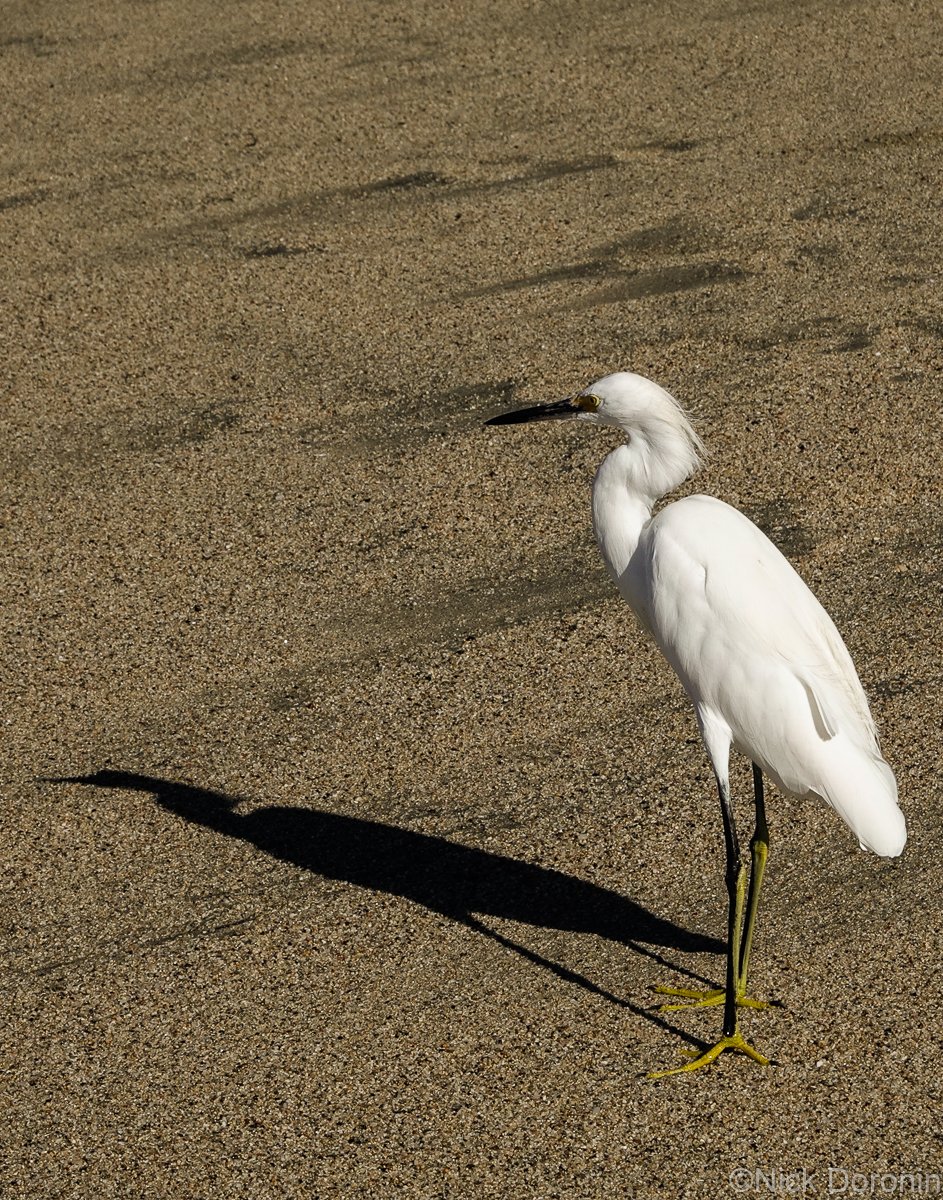 Beach1--3.jpg
