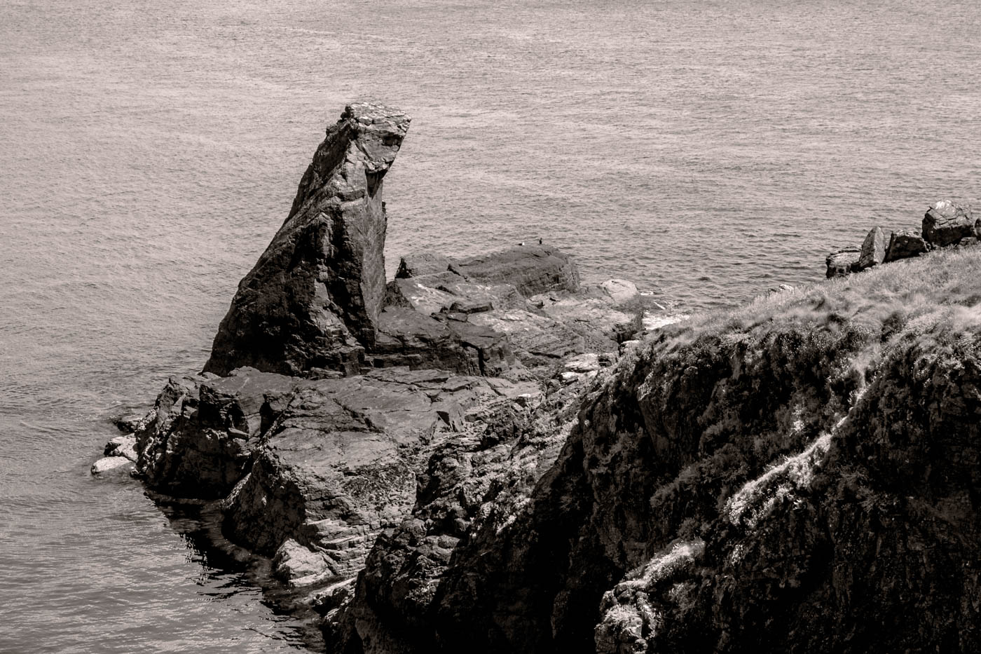 CrouchingLizard_C5196-191-5196.JPG