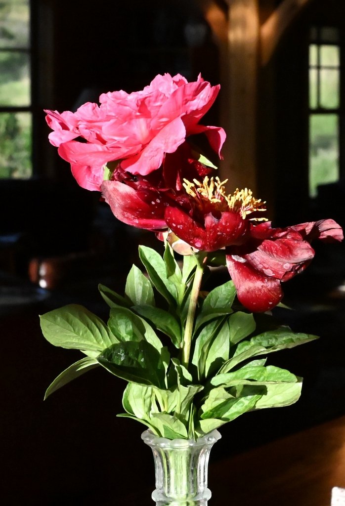 Garden Gleanings Late