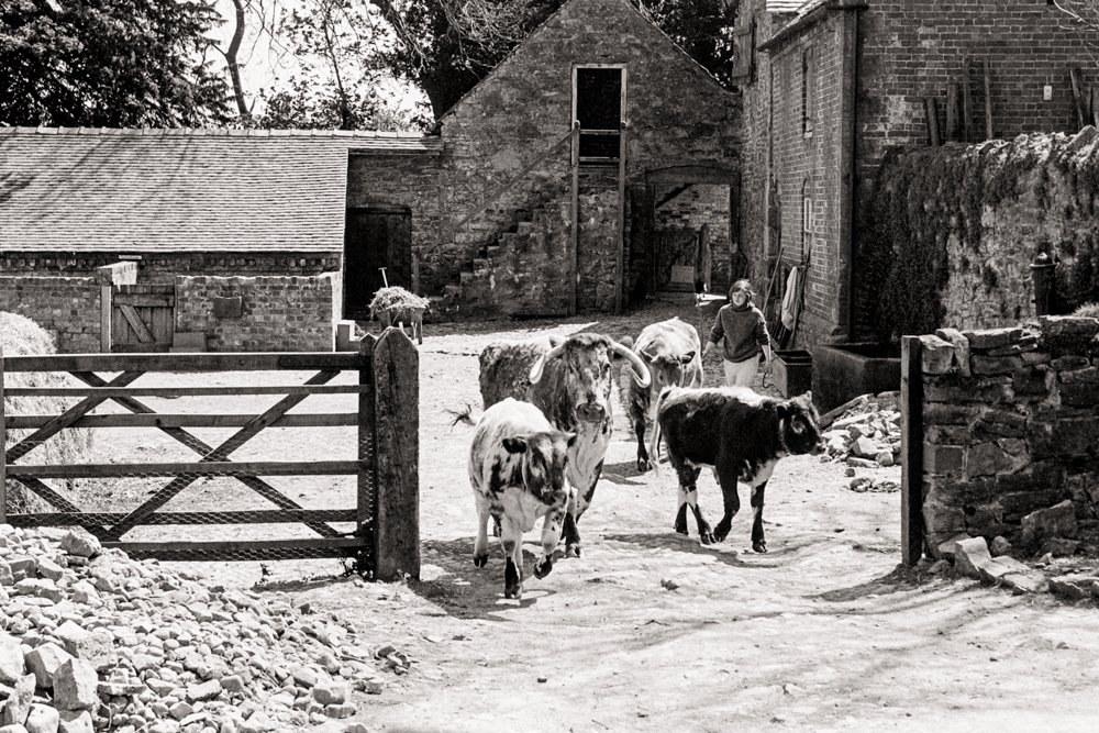 HistoricFarming1980Neg_F6513-656 (1 of 1).jpg