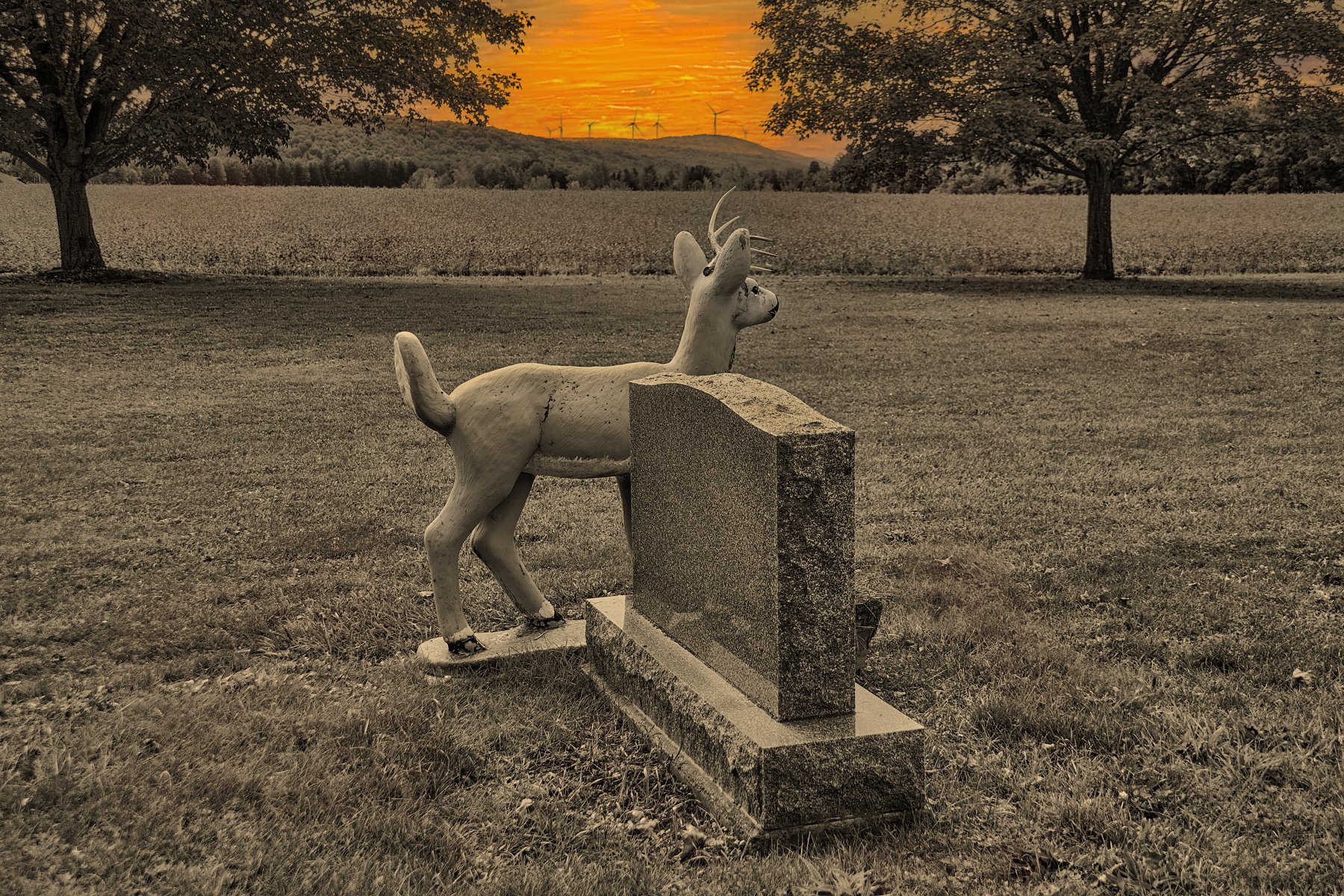 Hunt No More