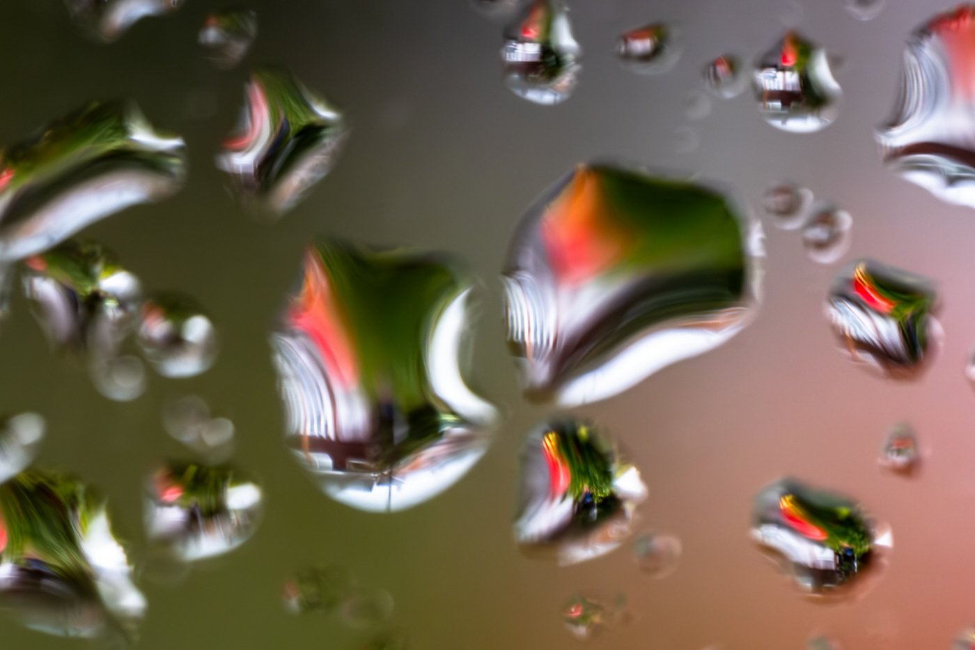 InADrop_F5588-641-1.jpg