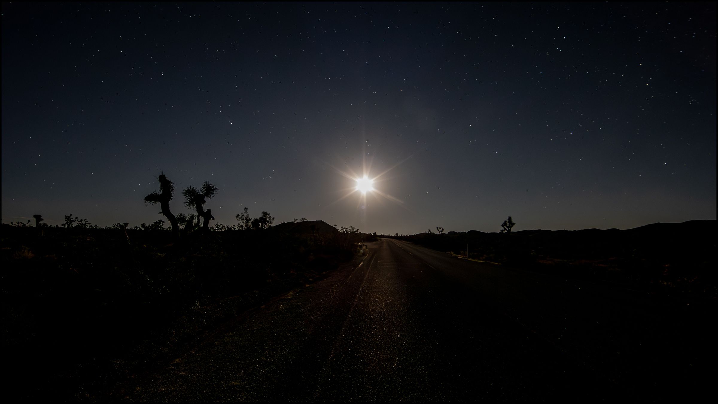 Joshua Tree at Night.jpg