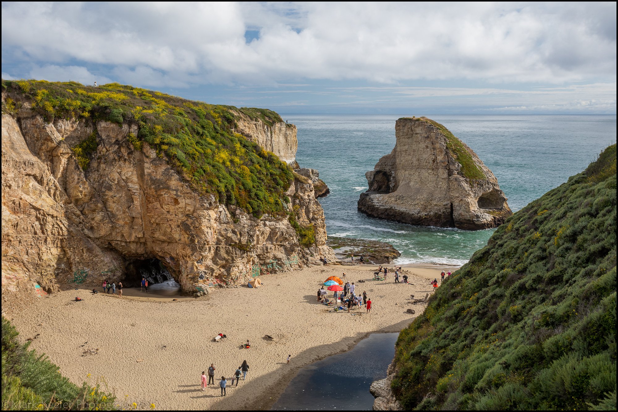 Shark Fin Cove  California